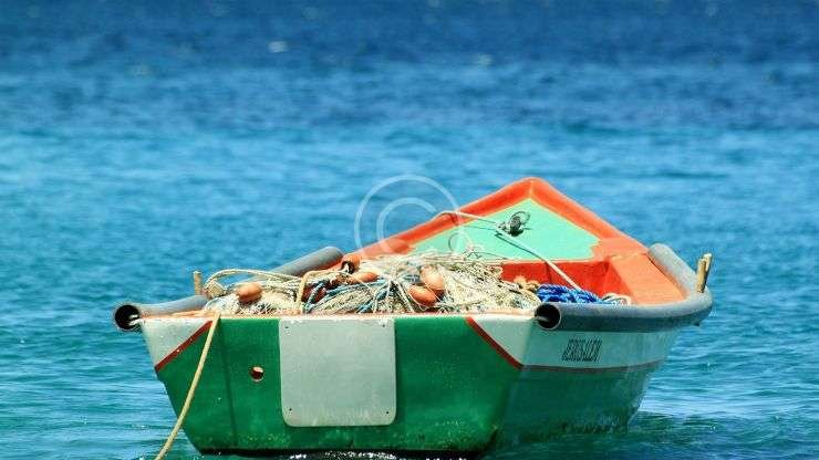 Avoiding Overfishing: Biologists Warn Fishermen