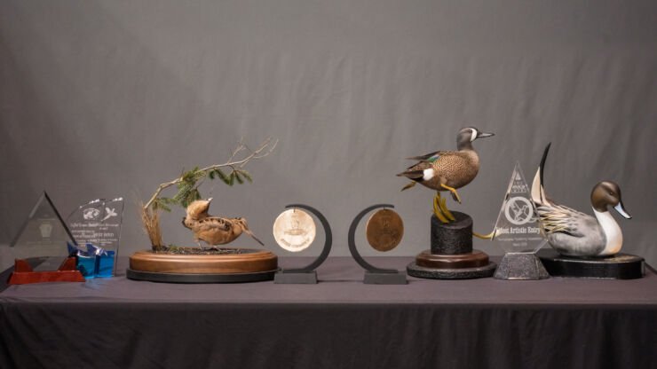 Wildlife Artist – Best Of Show